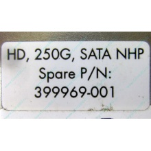 HP 250G 7.2k 432337-001/ 399699-001 / 397377-004 SATA HDD (Зарайск)