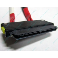 SATA-кабель для корзины HDD HP 451782-001 459190-001 для HP ML310 G5 (Зарайск)