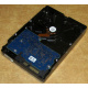 Электроника HDD 500Gb Hitachi HDS721050DLE630 (Зарайск)