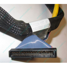 Кабель SCSI HP 166298-037 для HP ML370 G4 (Зарайск)