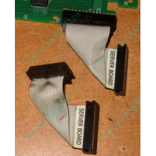 Шлейф 24pin 6017B0045701 для Intel C74974-401 T0043401-B01 (Зарайск)