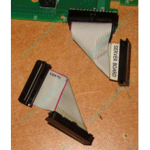 6017B0045701 Шлейф 24 pin для Intel C74974-401 T0043401-B01 корпуса SR2400 (Зарайск)