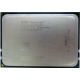 AMD Opteron 6128 OS6128WKT8EGO (Зарайск)
