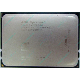 AMD Opteron 6128 OS6128WKT8EGO (Зарайск)