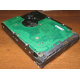 Жесткий диск 300Gb 15k Seagate Cheetach ST3300656SS 15K.6 Dell 9CH066-050 6G SAS (Зарайск)